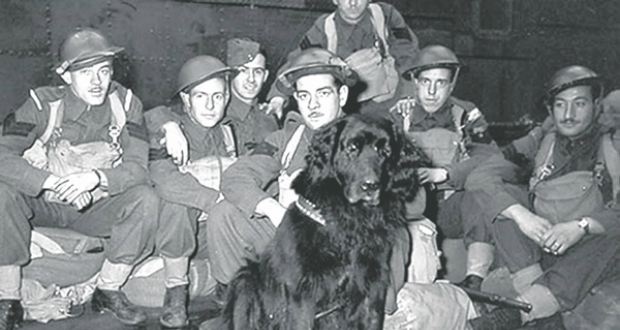 WarDog14