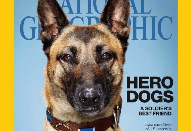 WarDog21