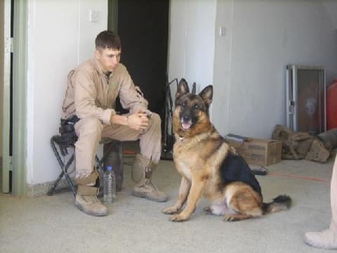 WarDog6