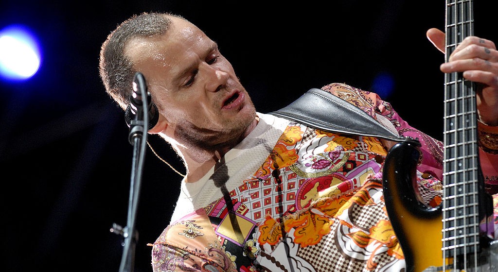 sanders.flea